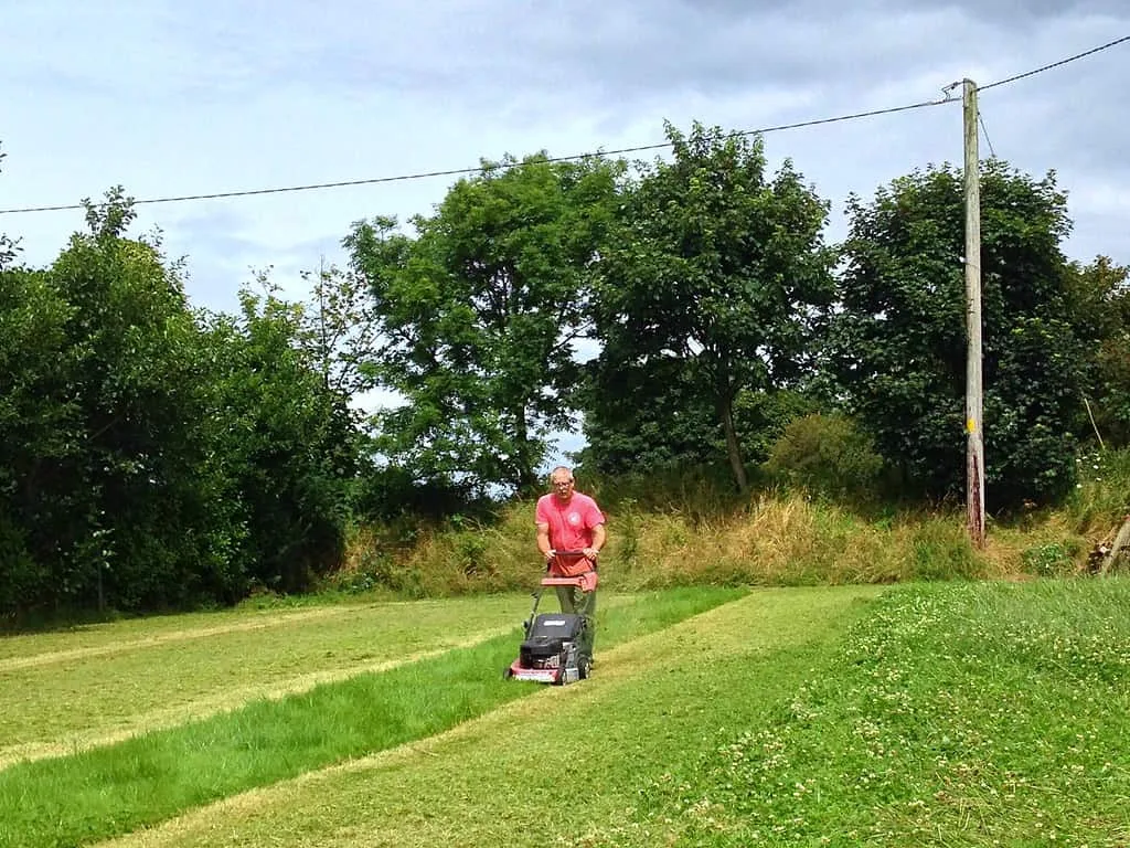 How often do you need to mow the lawn?