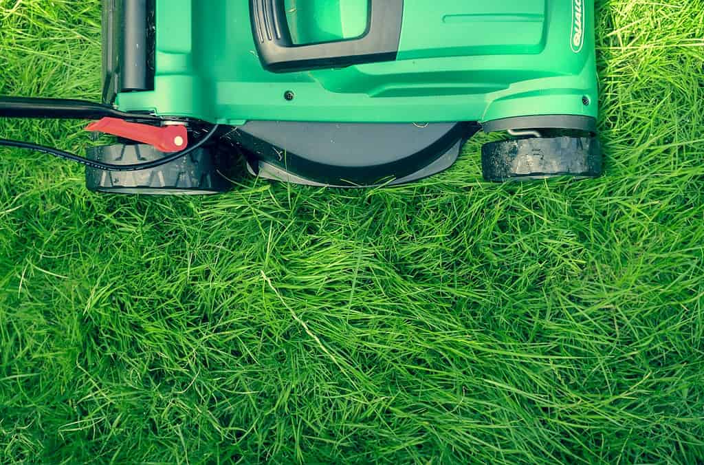Lawn Mower on Thick long grass