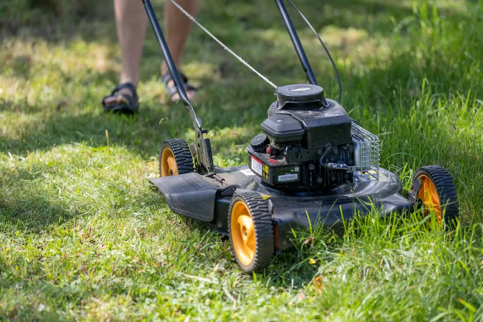 Should grass clippings be left on the lawn?