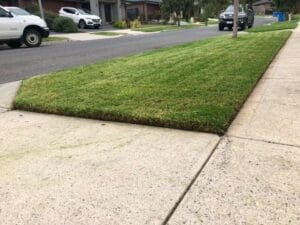 Freshly mowed nature strip in a suburban street.