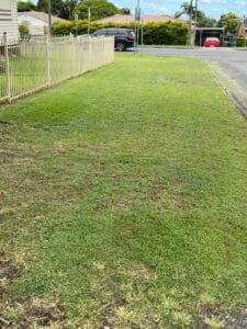 Residential street with grassy verge and parked cars.