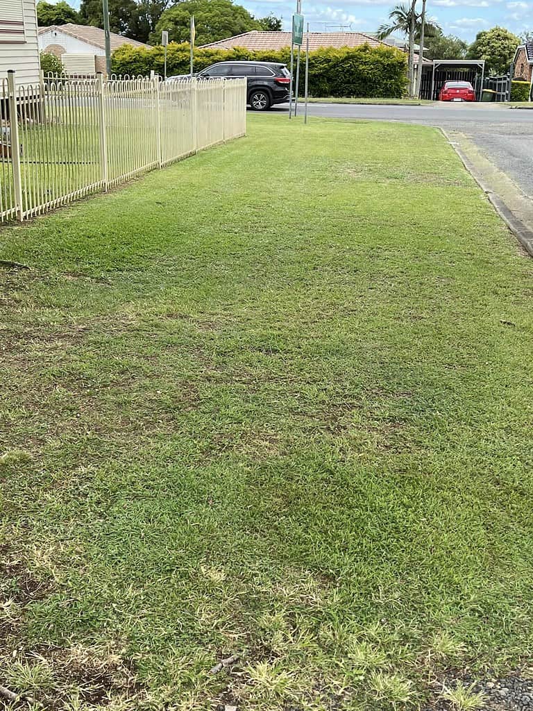 Residential street with grassy verge and parked cars.