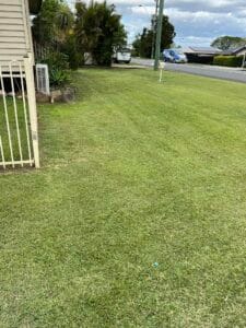 Lush green suburban lawn beside road in Australia.