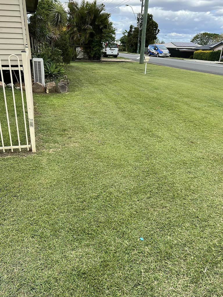Lush green suburban lawn beside road in Australia.